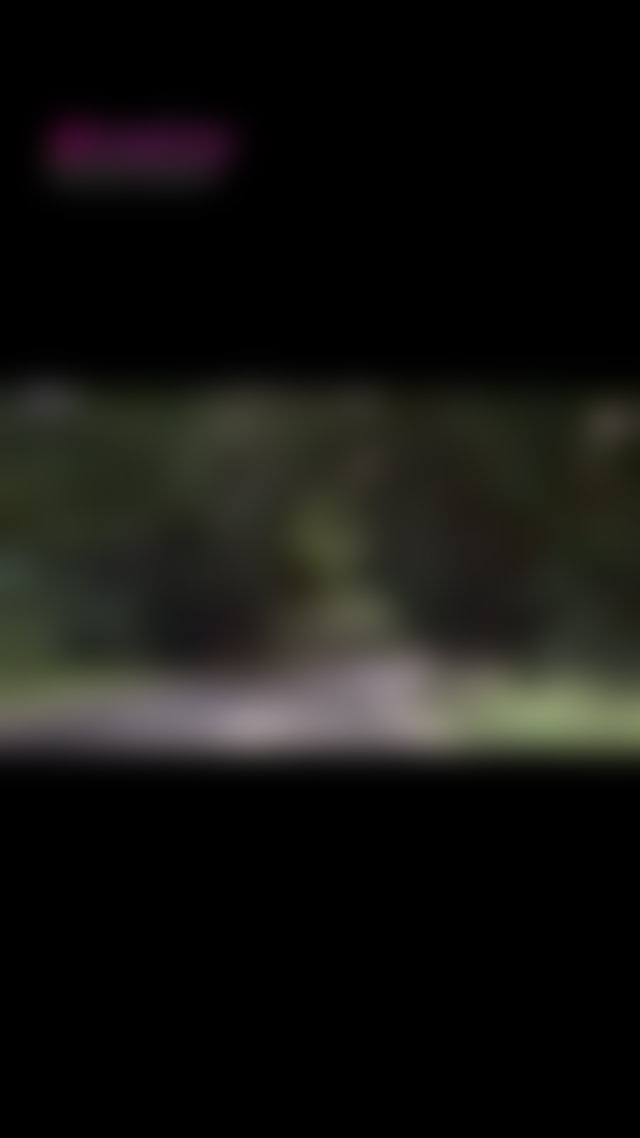Early morning drive webcam TikTok Porn