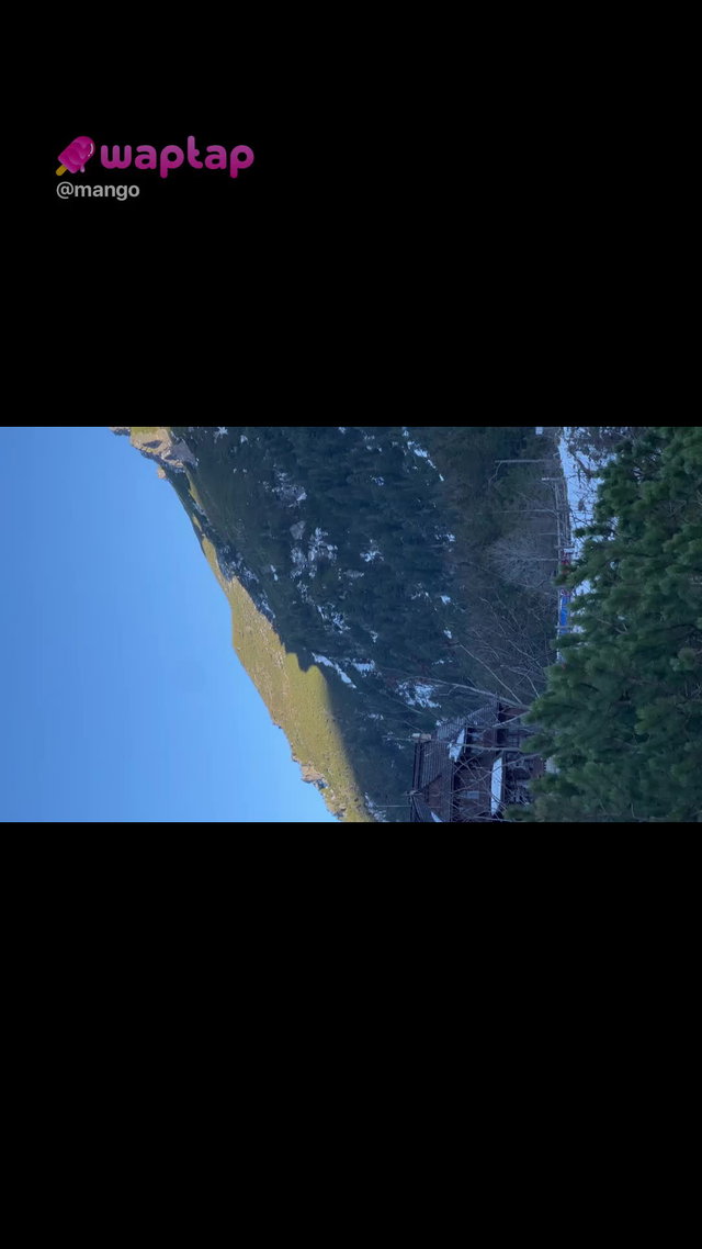 140 TikTok Porn